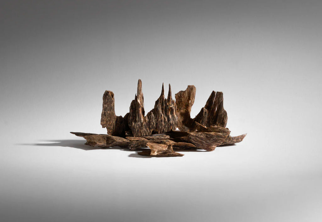 5 g Cambodian super kind oud