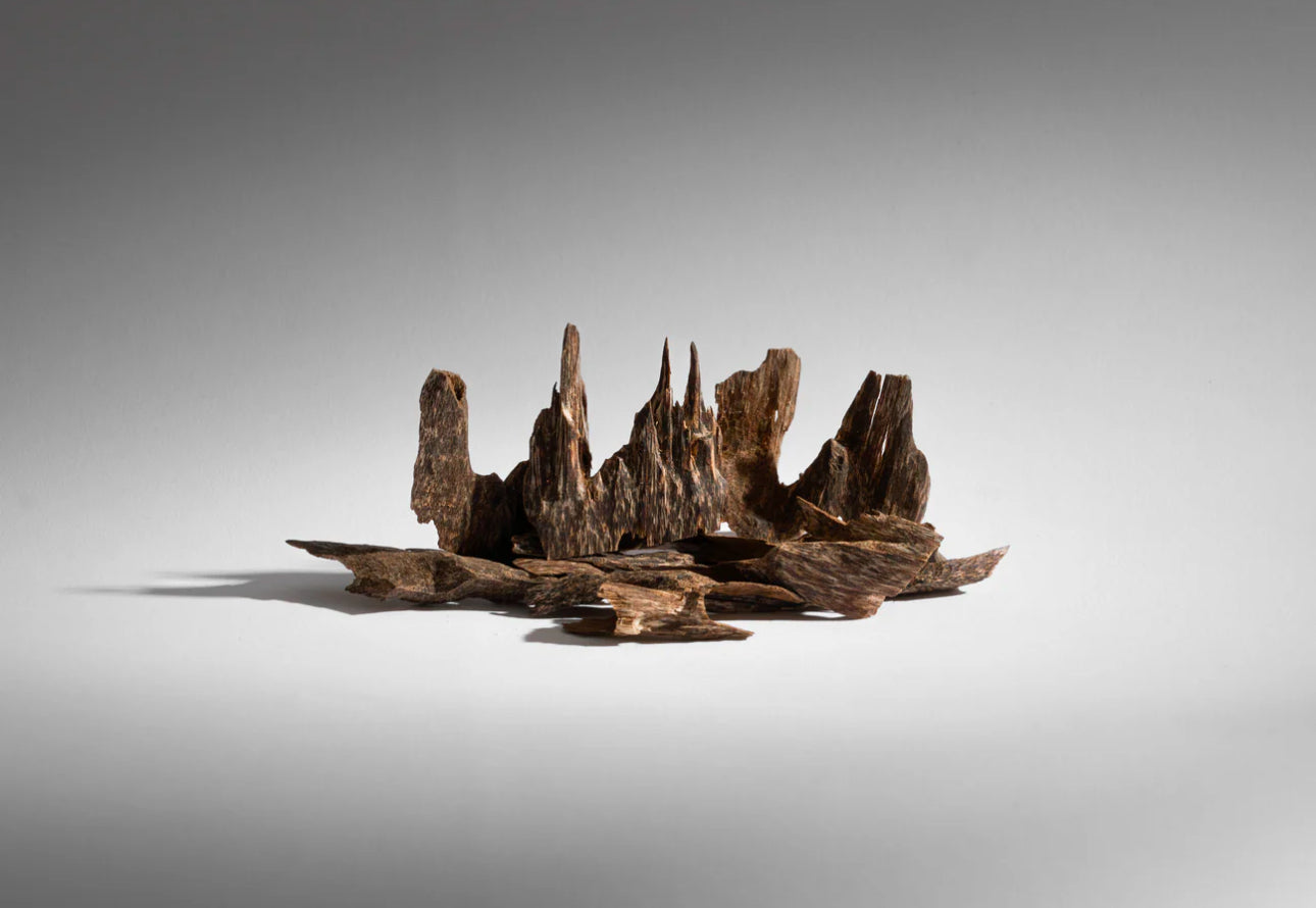 5 g Cambodian super kind oud